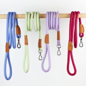Dog Lead Leashes