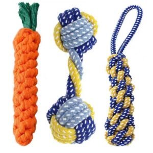 Carrot-Shaped Pet Toy